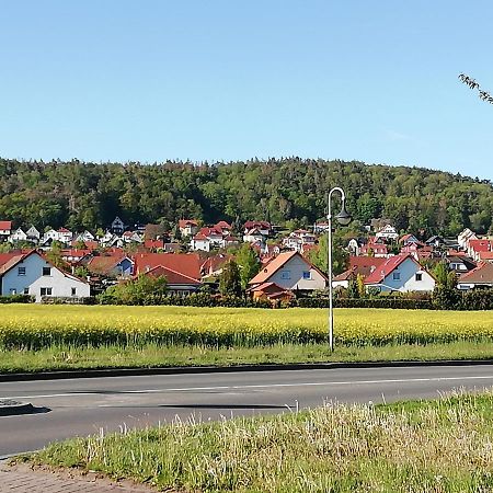 Ferienwohnung 40Qm Gernrode Gernrode  Kültér fotó