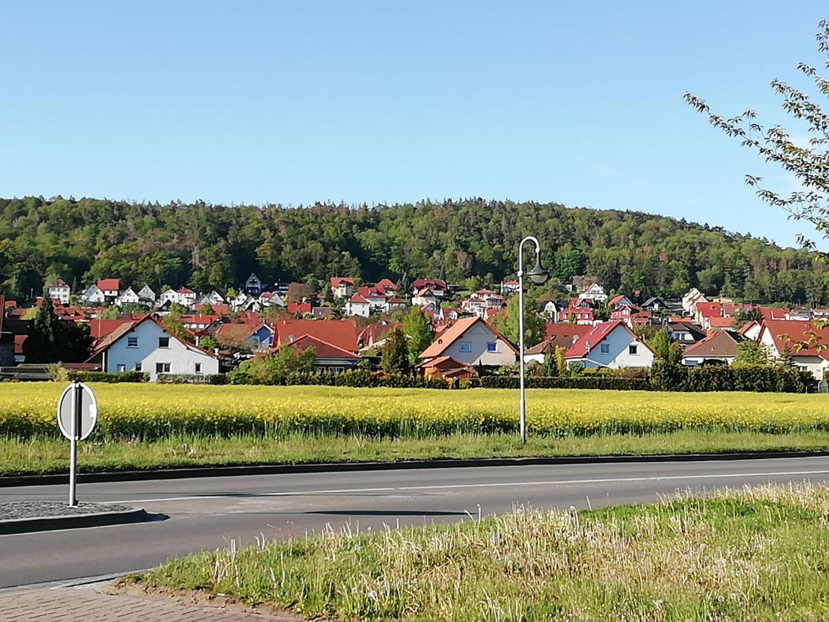 Ferienwohnung 40Qm Gernrode Gernrode  Kültér fotó